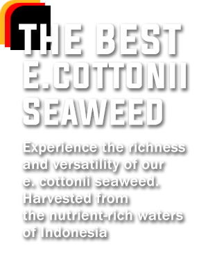 Tank Cleaning Specialist